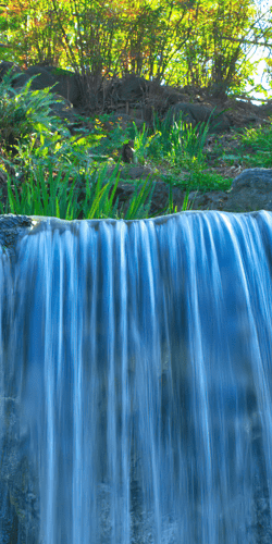 Paisajes y naturaleza